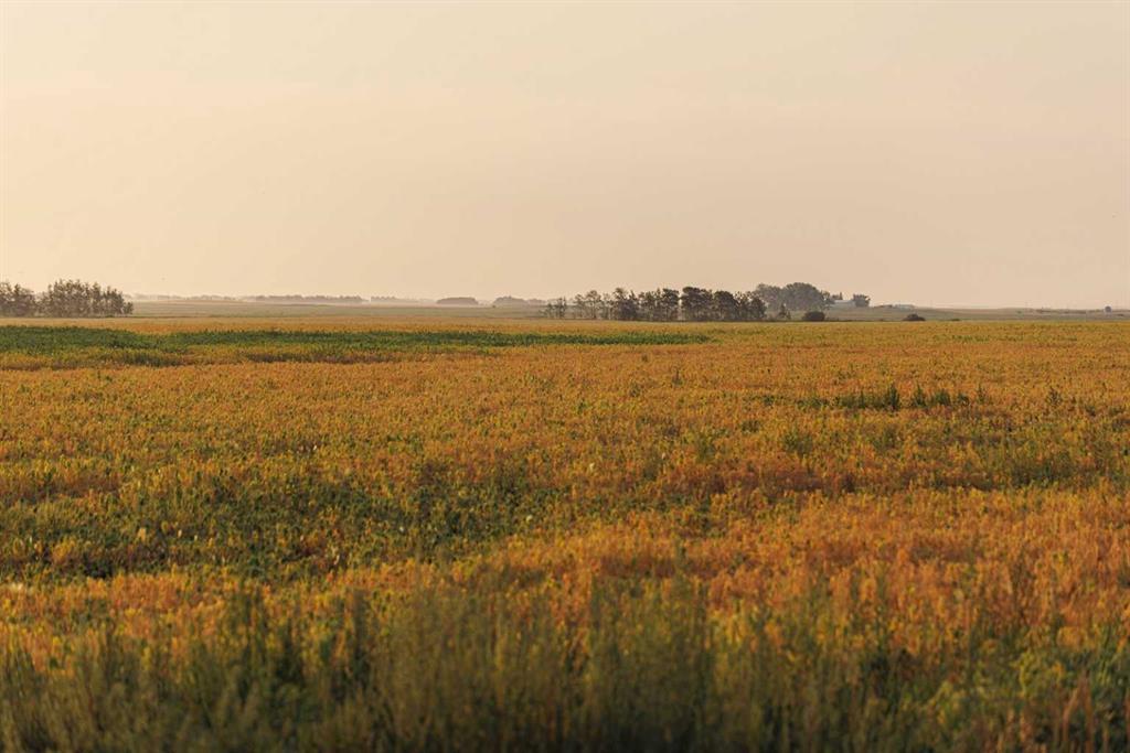 Parcel 9 Range Road 271 just south of Highway 9, Rural Rocky View County, Alberta, T0M 1G0