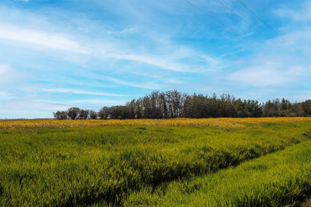 RGE RD 292, Rural Rocky View County, Alberta, T0M 0S0