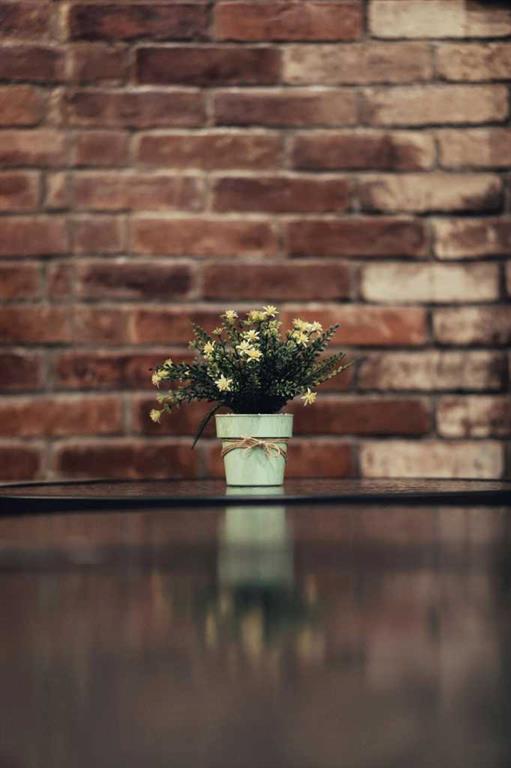 123 Calgary Street SE, Calgary, Alberta, T2A 5K4