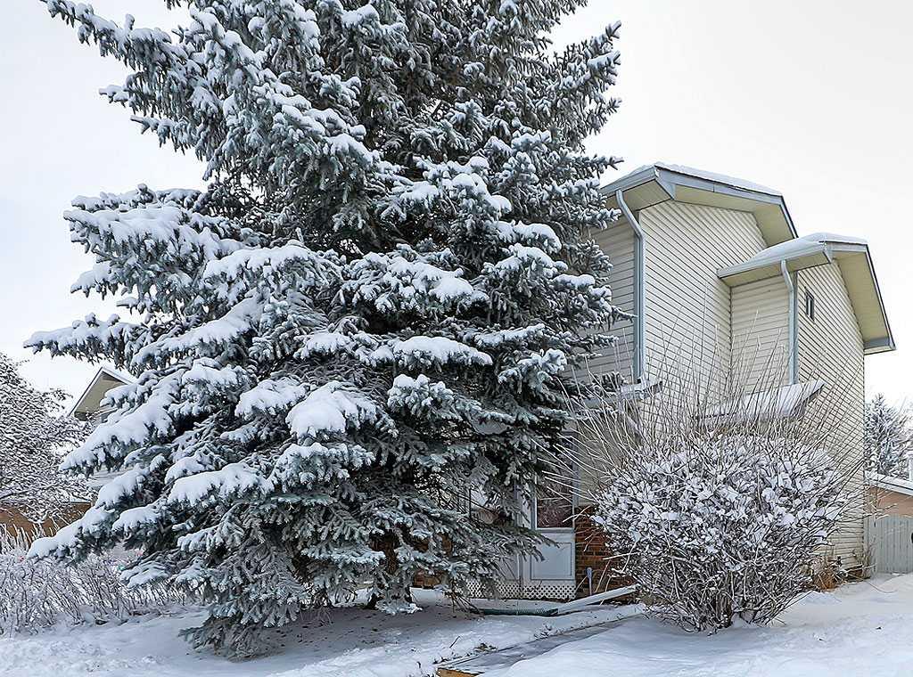 32 Sheppard Road SW, High River, Alberta, T1V 1C5