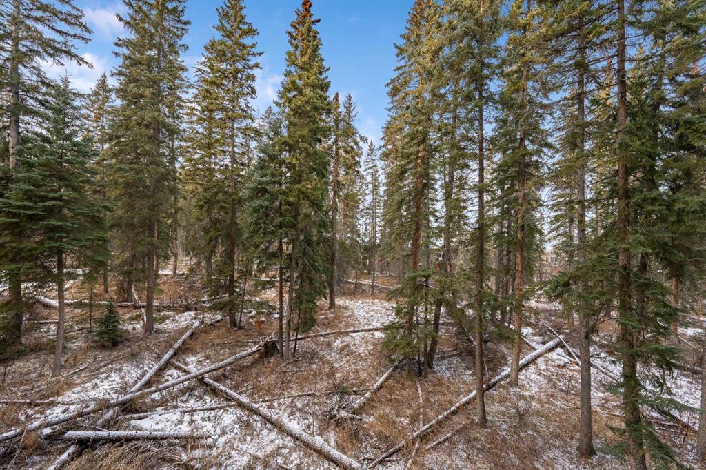 #206 10 Discovery Ridge Close SW, Calgary, Alberta, T3H 5X3