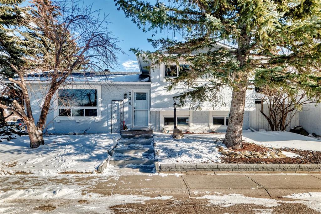 236 Pinecliff Way NE, Calgary, Alberta, T1Y3X3