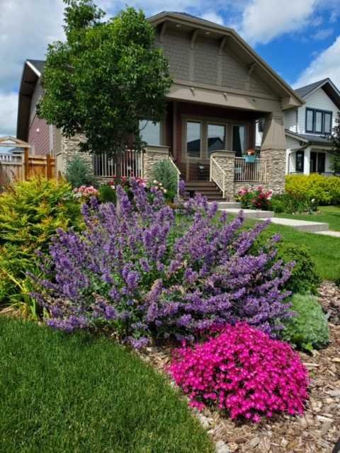 7 Arnica View, Rural Rocky View County, Alberta, T3Z 0E1