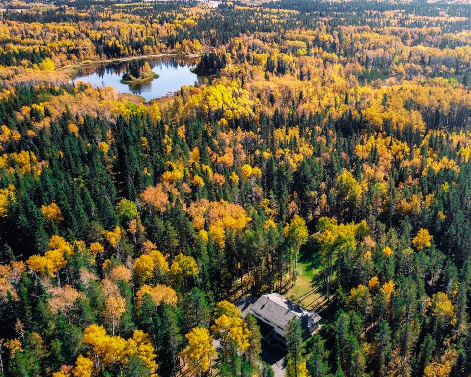 336207 Leisure Lake Drive W, Rural Foothills County, Alberta, T0L 1W2