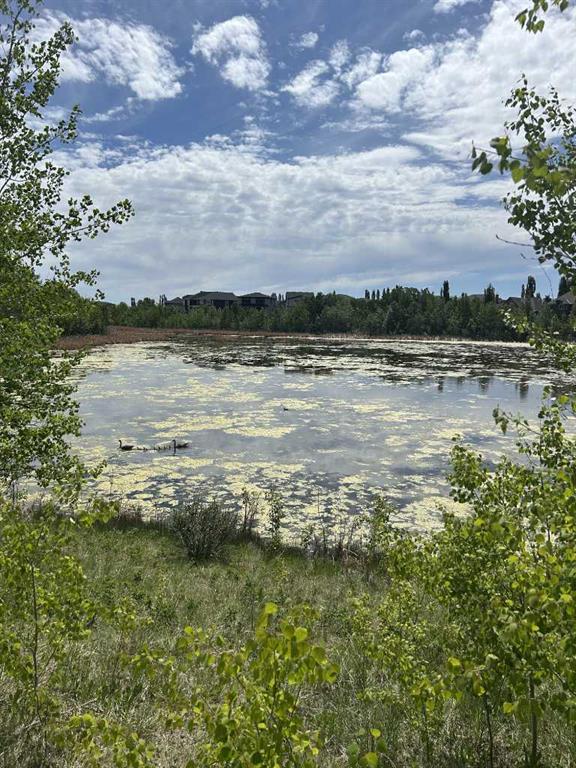 284 Rock Lake Drive NW, Calgary, Alberta, T3G 5Z4