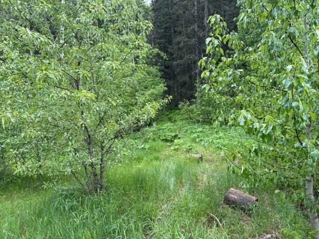 229 Mountain Lion Drive, Bragg Creek, Alberta, T0L 0K0
