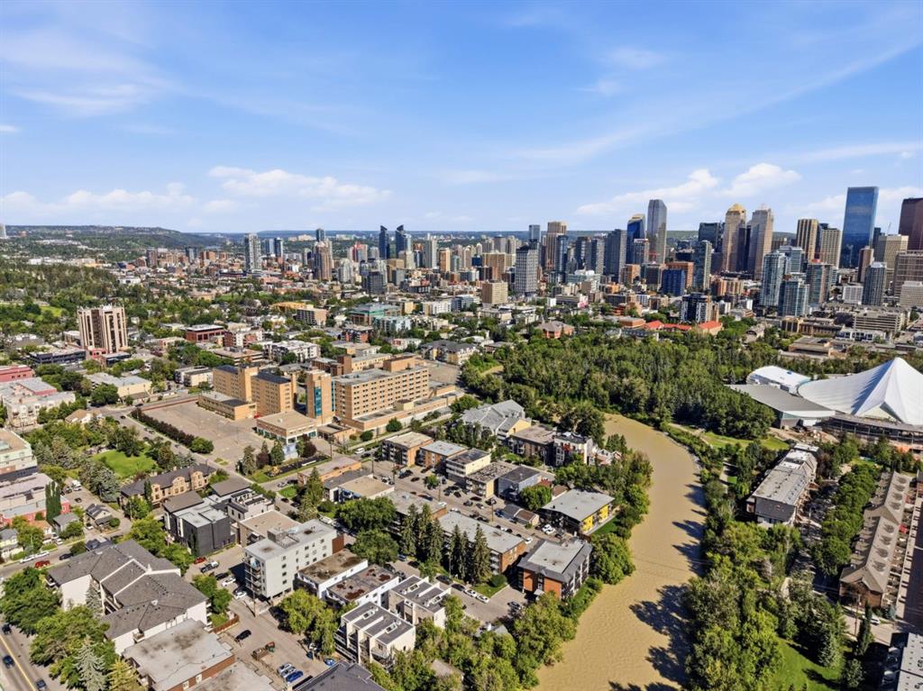 #401 110 24 Avenue SW, Calgary, Alberta, T2S0J9