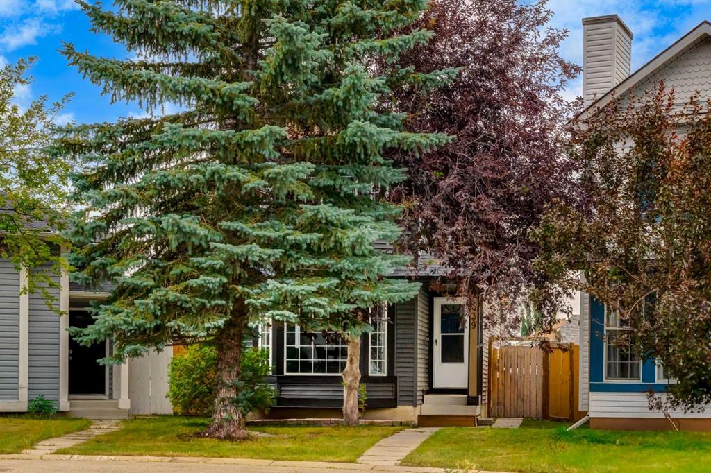 339 Coverdale Court NE, Calgary, Alberta, T4K 4J8