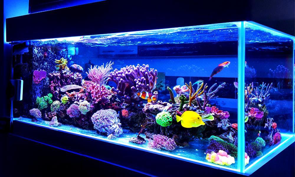 123 Fish Store Avenue NW, Calgary, Alberta, T2M 2W3